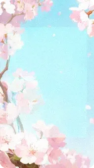 Full-Bloom Sakura (backdrop)