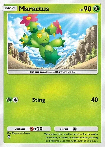 Maractus