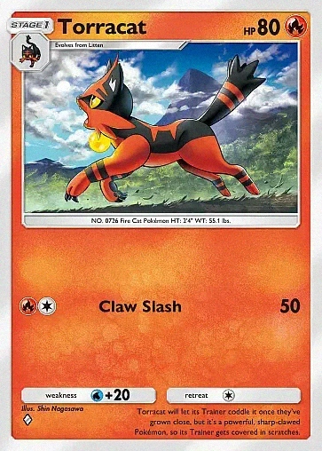 Torracat