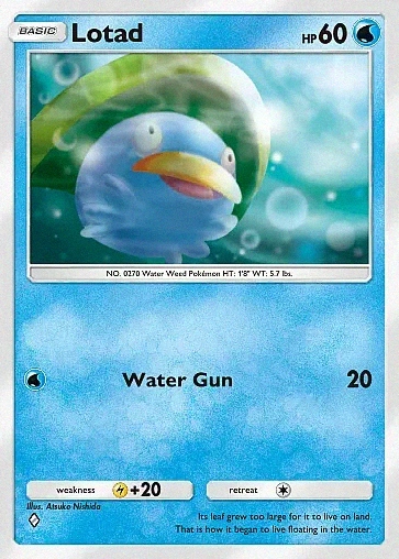 Lotad