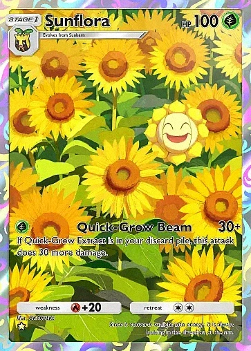 Sunflora