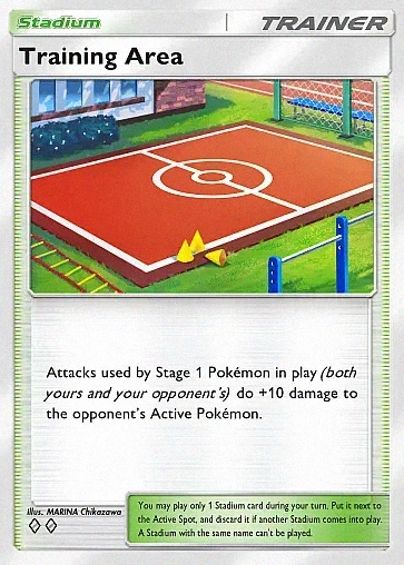 Training Court