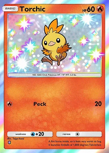 Torchic